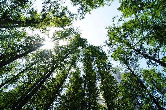 山東：“氣質(zhì)”持續(xù)惡化，追責(zé)政府負(fù)責(zé)人